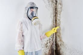 Best Emergency Mold Remediation in Hendersonville, TN